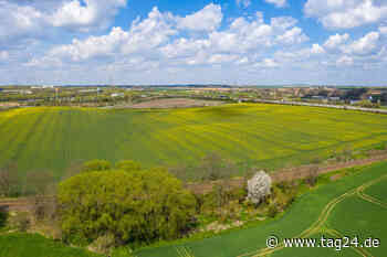 Chemnitz: Wo "Karls Erdbeerhof" entstehen soll, wird eine Steinzeit-Siedlung ausgegraben - TAG24