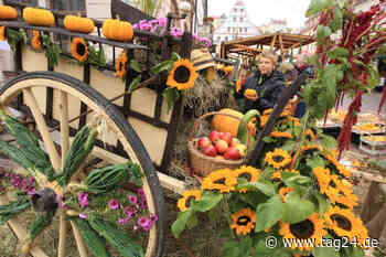 Chemnitz: Heute noch nichts vor? Wir haben ein paar Tipps zum Sonntag - TAG24
