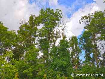 Laatste kans op controle veiligheid essen in gemeente Dronten - Bhz net
