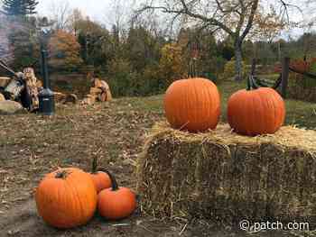 See Pumpkin Prices In Rhode Island Before Visiting The Best Patch - Patch.com