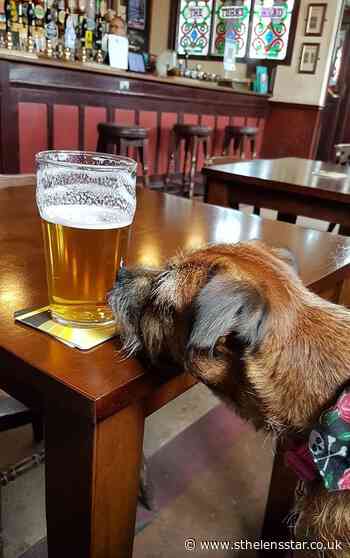 Camera Club: The best images from our St Helens Star Camera Club members - St Helens Star