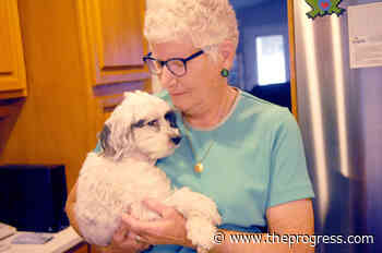 Chilliwack woman wants to know who owned the pitbull that attacked her dog – Chilliwack Progress - Chilliwack Progress