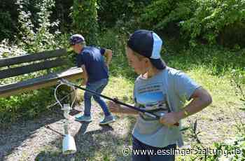 Putzete in Ostfildern - Kuriose Funde beim Großreinemachen - esslinger-zeitung.de