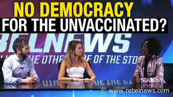 “Democracy is dead” in Canada? Viva Frei joins Westmount candidate kicked from debate for being unvaccinated - Rebel News