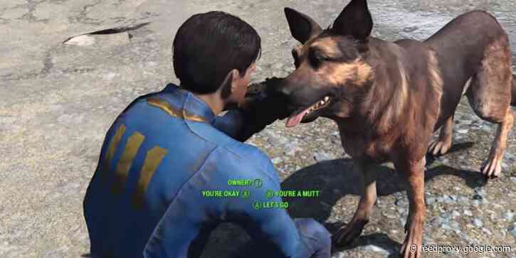 The man behind 'Can you pet the dog?' would love to write a book, but he'd settle for just being able to pay rent