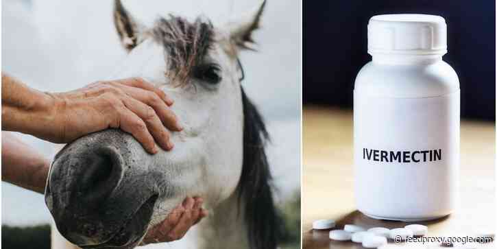 Horse owners are struggling to buy ivermectin as Americans scramble for the unproven COVID-19 treatment and Amazon sellers cash in by gouging prices, reports say