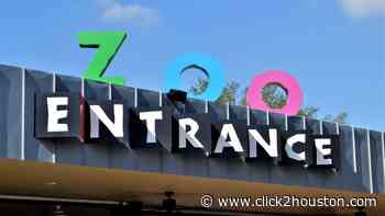 Kylie Jenner and Travis Scott’s family trip to the Houston Zoo sparks controversy - KPRC Click2Houston