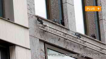 Wie lässt sich das Tauben-Problem an den Sedelhöfen in Ulm lösen?