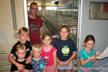 Genieten van knorrende varkens op de dag van de landbouw - Het Nieuwsblad