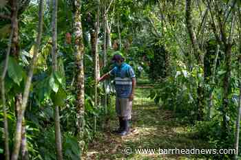 William hails 'amazing' nominees for Earthshot Prize as finalists named - Barrhead News