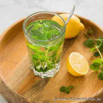 Selbst geerntete Pflanzen: Teegenuss für jeden Geschmack - radioeuskirchen.de