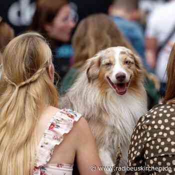 World Wide Wuff - German Petfluencer Awards verliehen - radioeuskirchen.de