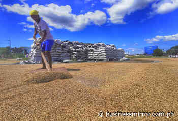 Farmers' group cites Palace 'oversight' in PCIC revamp | Jasper Y. Arcalas - Business Mirror