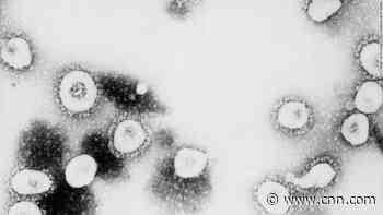 The origins of Covid-19: Why the search for the source is vital