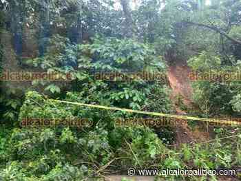 Lluvia del sábado provocó deslaves y caídas de árboles en Coatepec - alcalorpolitico