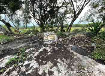 Con tiradero a cielo abierto, Alcaldía de Coatepec amenaza a río Los Pescados - Imagen de Veracruz