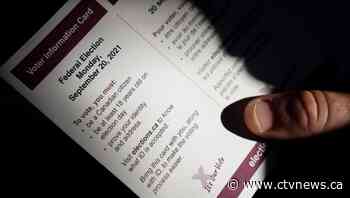 Election primer: Everything you need to know before you vote