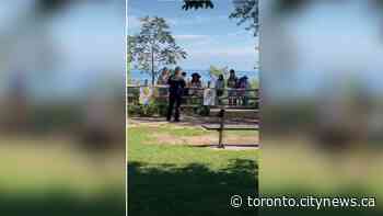 Police issue $5,000 fines to Scarborough Bluffs trespassers - CityNews Toronto