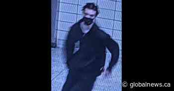Suspect sought after woman stabbed multiple times on Toronto subway platform - Globalnews.ca