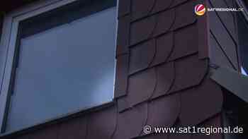 VIDEO | Fledermaus-Haus: Paar aus Salzhemmendorf lebt mit Flugtieren unter einem Dach - Sat.1 Regional