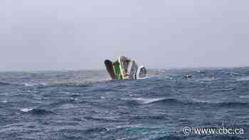 N.S. seafood companies harvest scallops for Ocean Choice International after its trawler sinks