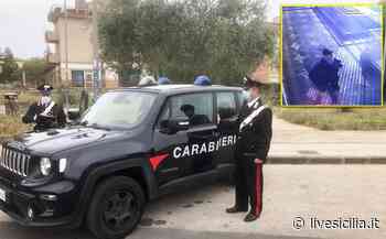 Droga, nasconde 9 kg di "erba" in casa: arrestato - Livesicilia.it