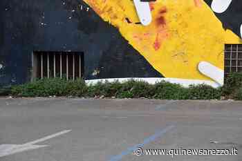 Erba alta nel parcheggio accanto alla Misericordia - Qui News Arezzo