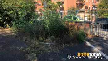 A Settecamini la scuola è iniziata tra erba alta e giardini inaccessibili - RomaToday