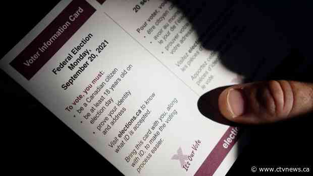 Election primer: Everything you need to know before you vote