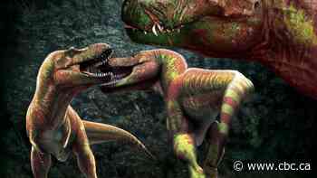 Bite me: New study of dinosaur scars sheds light on prehistoric, in-your-face battles for dominance