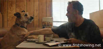 Tom Hanks + Dog + A Robot in Official Trailer for 'Finch' Sci-Fi Movie