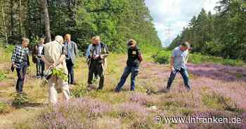 Bamberg: Artenreichtum unter Stromleitungen - Regierungspräsidentin besucht Naturschutzprojekt