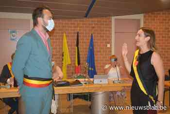 Subsidie voor castratie huiskatten afgeschaft: “Wie huisdier neemt, moet zelf kosten dragen” - Het Nieuwsblad