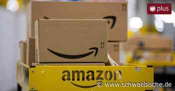 Amazon-Ansiedlung in Trossingen bleibt umstritten: So geht es jetzt weiter - Schwäbische