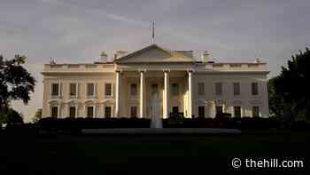 White House endorses bill guaranteeing abortion access