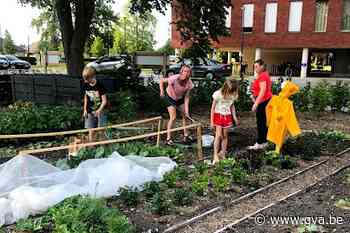 Leren tuinieren in samentuin (Wuustwezel) - Gazet van Antwerpen Mobile - Gazet van Antwerpen