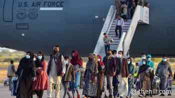 Some Afghan evacuees vaccinated against measles, other diseases, US military says