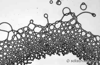 Creating Liquid Shapes That Are Nearly Impossible To Find in Nature: Physicists Make Square Droplets and Liquid Lattices