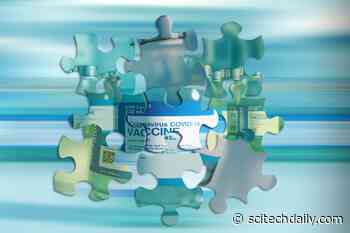 Top 11 Reasons for COVID-19 Vaccine Hesitancy – First: Mistrust of Government