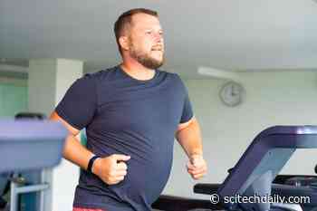 Personalized Advice: How To Prevent and Treat High Blood Pressure With Exercise