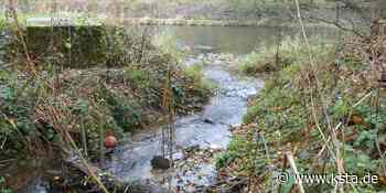 Lohmar: Rückhaltebecken am Auelsbach wird viel größer - Kölner Stadt-Anzeiger
