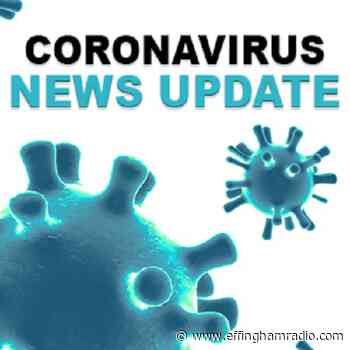 Effingham County Health Department Announces 86 New Positive Cases Of Coronavirus - Samantha Laturno