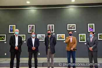 Inicia Jornada de la Ciencia y Tecnología Xalapa 2021 - plumas libres