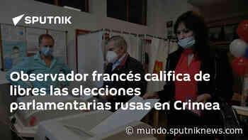 Observador francés califica de libres las elecciones parlamentarias rusas en Crimea - Sputnik Mundo