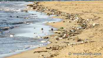 Nice: 500 bénévoles ont ramassé 750kg de déchets samedi - BFMTV
