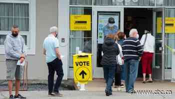 Technical problems with Elections Canada website, long lineups frustrate voters