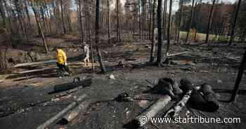 Superior National Forest lifts fire restrictions; Greenwood fire mostly contained