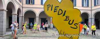 Lecco. Il piedibus ha 406 iscritti Gli accompagnatori sono pochi - La Provincia di Lecco