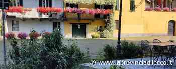 Lecco. «L'Addio monti non basta necessaria un'area per i cani» - La Provincia di Lecco