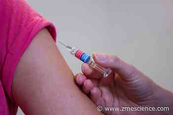 Antibodies against the first coronavirus strain aren’t very effective against emerging forms of the virus - ZME Science